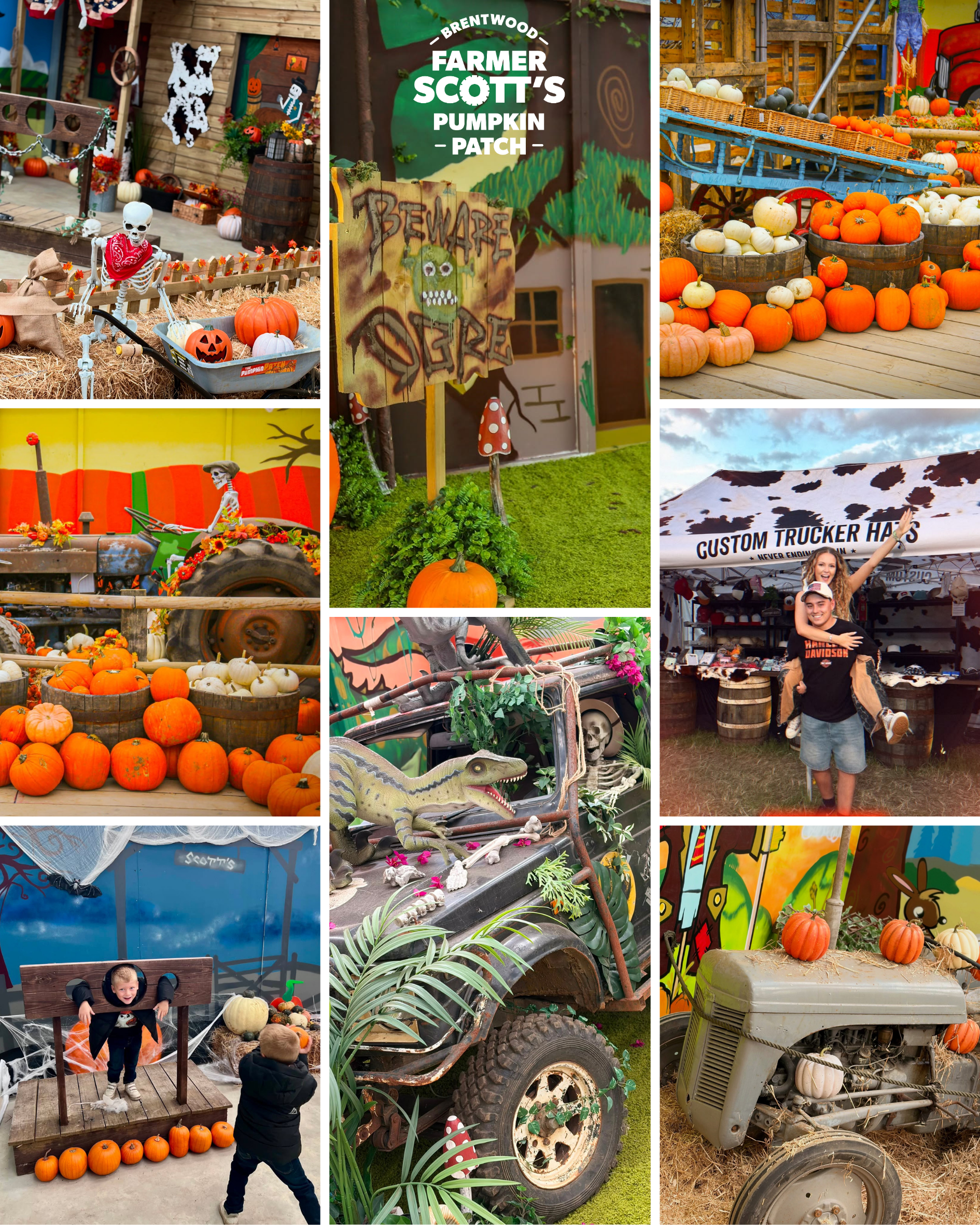 Farmer Scott's Pumpkin Patch, Brentwood, Essex, Closest pumpkin patch to east london, essex days out, autumn days out, london october half term days out, essex pumpkin patch